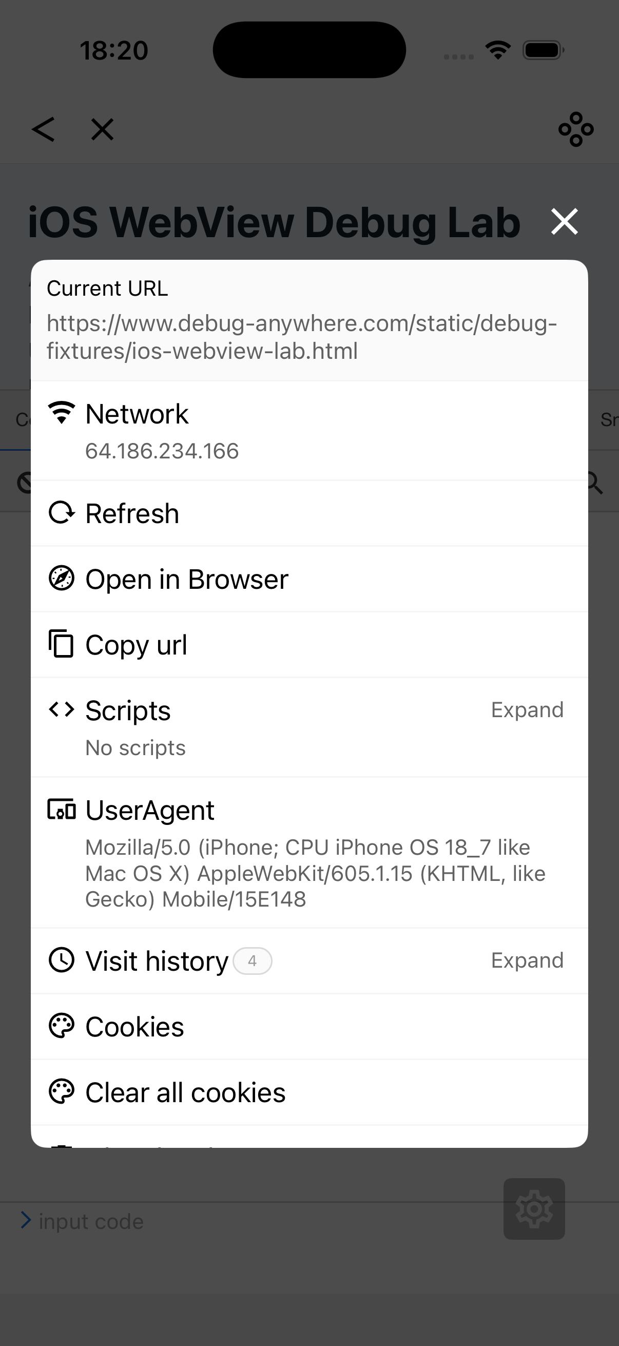 DebugAnywhere iOS WebView tools menu with UserAgent, Cookies, and storage cleanup actions